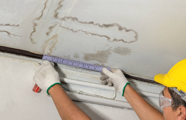 Reliable Water Damage contractor in Josephine, TX by Water Damage Irwin